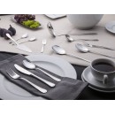 Altom Design set pribora za jelo za 12 osoba u koferu Gerpol Violino (68 elemenata) - 0104001183
